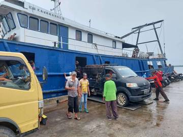 Natuna Pasok Sapi Qurban Ke Luar Daerah