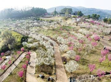  Jelajahi Tempat Wisata di Korea Selatan