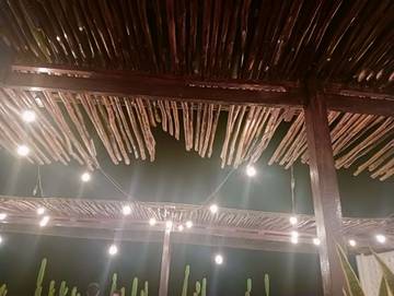 Kayu Gelam Sentuhan Alami Interior Kafe