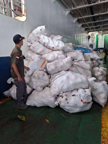 Ekspor Kelapa Dari Natuna Menurun