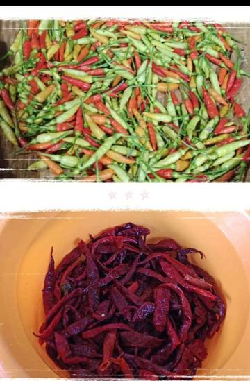 Perbedaan Cabe Merah Kering Dengan Cabe Rawit 