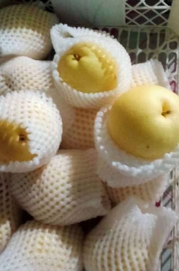Buah Pir Dapat Membantu Menurunkan Berat Badan