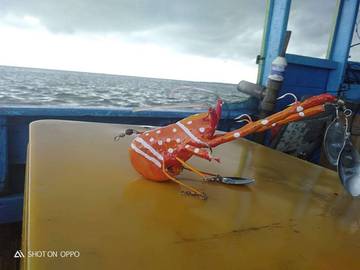 Sang Pembuat Umpan Gurita yang Sukses Dengan Karyanya