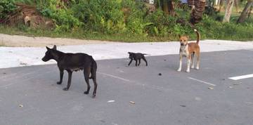 Menjinakkan Resah, Menebar Kasih