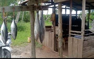 Bahan Baku Ikan Salai Menipis