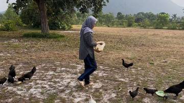 Mengusir Sepi Dengan Hobi Baru