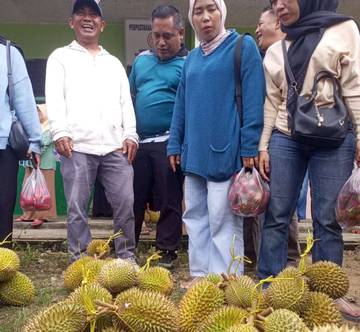 Pesta Buah Perdana Bunguran Timur Laut Meriah
