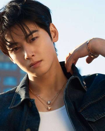 Cha EunWoo Muncul dalam Daftar Isu Pajak Global