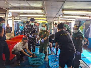 Ekspor Perdana 2026, Ikan Natuna Tembus Hong Kong