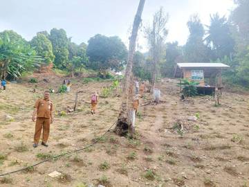 BUMDes Seluan Barat Kembangkan Tanaman Cabe