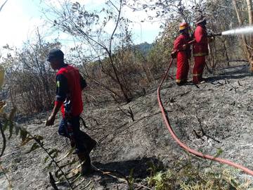 Damkar Natuna Tangani Kebakaran Lahan Enam Hektare