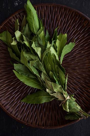Mengenal Daun Salam