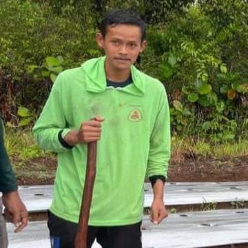 Petani Harapan Jaya Kembangkan Melon