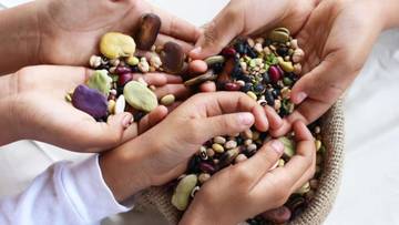 Rahasia Sehat dalam Butiran Kecil Kacang-Kacangan