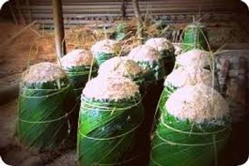 Mengenal Sagu, Panganan Tradisional dari Alam