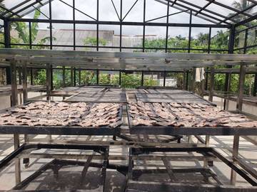 Ikan Asin Sabena Jaboi, Cita Rasa Tradisi Inovasi