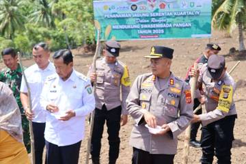 Sabang Tanam Jagung Serentak 