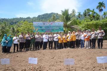 Dukung Ketahanan Pangan, 4 Ribu Bibit Jagung Ditanam