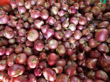 Harga Bumbu Dapur di Sabang Relatif Stabil