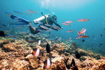 Menjelajah Keindahan Teupin Layeu dan Pulau Rubiah