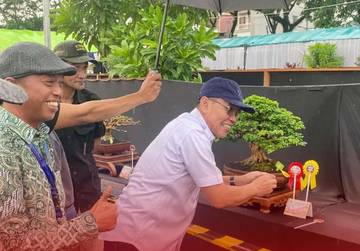 Pameran Nasional Bonsai dan Suiseki Hadir di Samarinda 