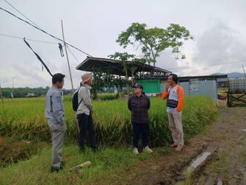 Kementan Lakukan Pengawalan Kegiatan Oplah di Kabupaten Paser