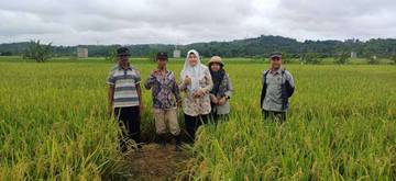 Peluang dan Tantangan Pengembangan Pertanian Organik