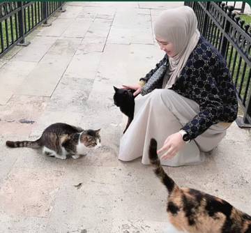 Waspadai Penyakit yang  Ditularkan Kucing ke Manusia