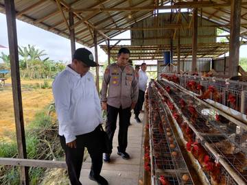 Kapolres Mahulu Tinjau Fokus Lahan Ketahanan Pangan Perbatasan