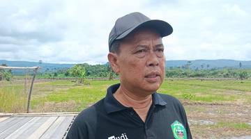 Gerbangmas Mahulu Dukung Ketahanan Pangan Daerah Melalui Pertanian