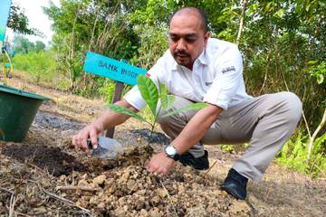 Kopi Liberika Sepaku: Asa Baru Petani IKN