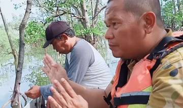 Ahli Mangrove Unair Teliti Monyet Belanda Teluk Balikpapan