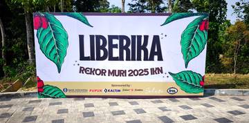 Pecahkan Rekor MURI, Kopi Liberika IKN Tembus Pasar Global