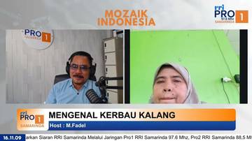Kerbau Kalang: Kekayaan Sumber Daya Genetik Kalimantan Timur