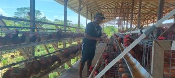Kampung Lutan Optimalkan Dana Desa Ketahanan Pangan ‎