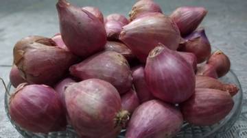 Cara Mengenali Bawang Merah Segar untuk Masakan Lezat