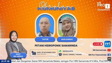 Petani Hidroponik Samarinda Andalkan Pakcoy Penuhi Pesanan Pasar