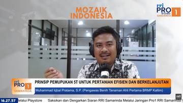Tips Pemupukan Tepat untuk Tanaman Agar Hasil Optimal