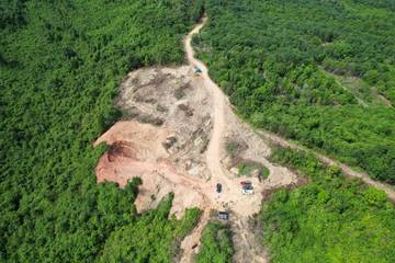 Marak, TNK Perketat Pengawasan Hutan