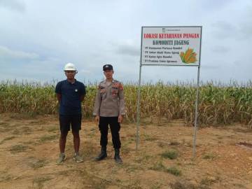 Polres Kutim Pantau Jagung Program Ketahanan Pangan