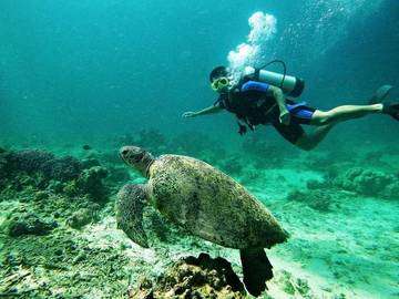 Infrastruktur Jadi PR Besar Pariwisata Kalimantan Timur