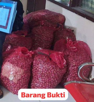 Terduga Pencuri Bawang Diamankan Polsek Samarinda Seberang