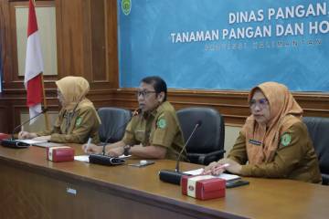 DPTPH Kaltim Perkuat Keamanan Pangan Lewat Forum Publik