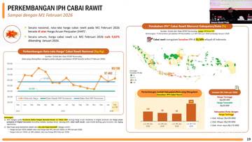 BPS Catat Harga Cabai Rawit Naik Awal Februari
