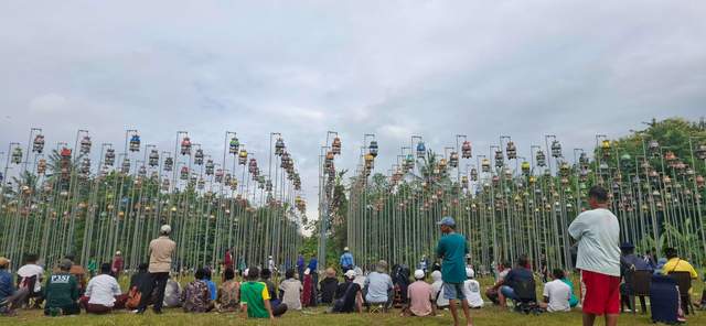 Liga Perkutut di Kabupaten Sumenep