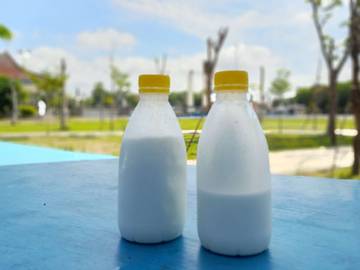 Pengalaman Pertama Minum Susu Kambing Murni