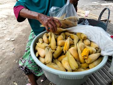 Musim Hujan Jagung Rebus Banyak Diburu Pembeli