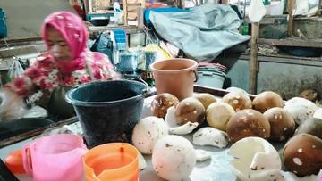 Bulan Ramadhan, Harga Kelapa di Sampang Naik 