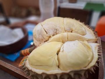Incip Durian Montong Palu Dengan Rasa Yang Legit