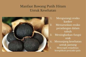 Simak Lima Manfaat Bawang Putih Hitam Untuk Kesehatan